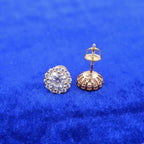 925 Silver Moissanite Solitaire Clusters Earrings.